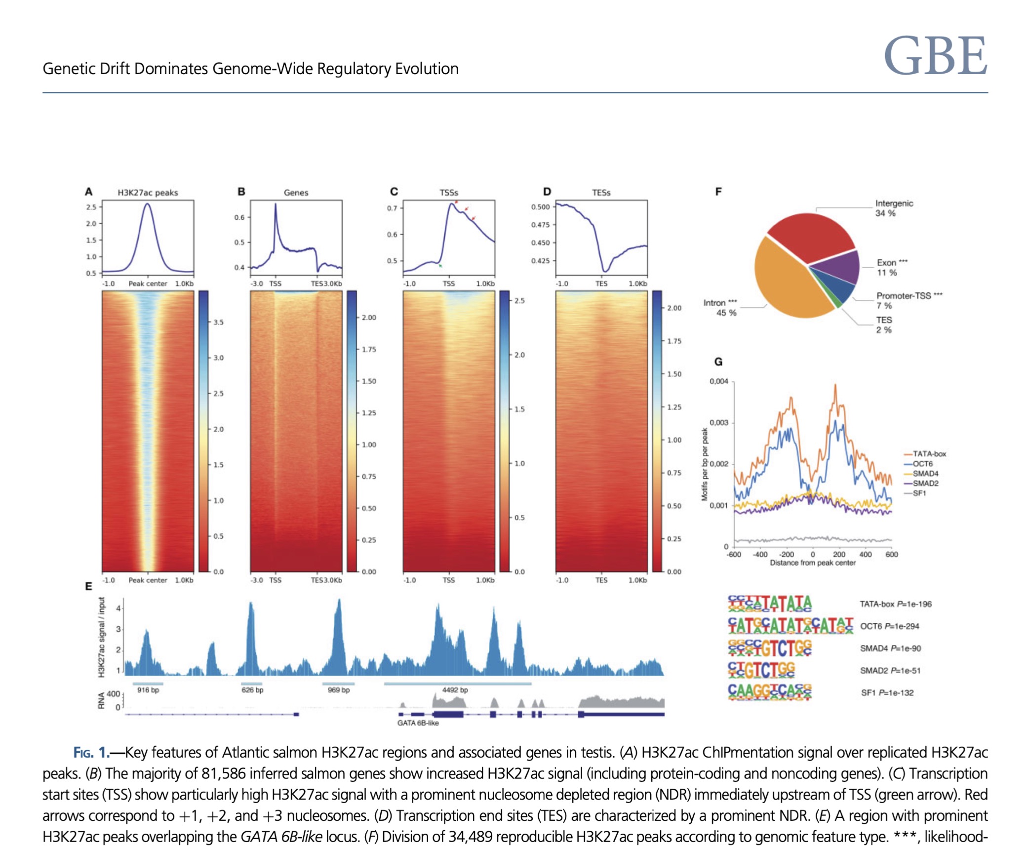 Genetic Drift Dominates Genome-Wide Regulatory Evolution Following an Ancient Whole-Genome Duplication in Atlantic Salmon