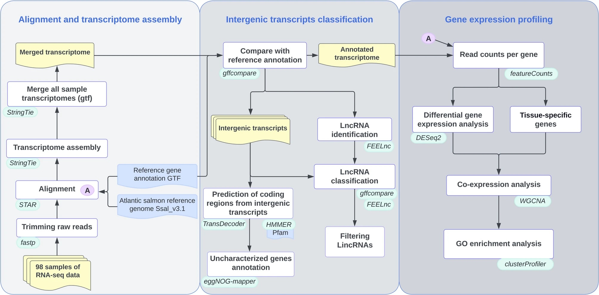 A comprehensive analysis of Atlantic salmon gonad and pituitary transcriptomes identifies novel players in sexual maturation
