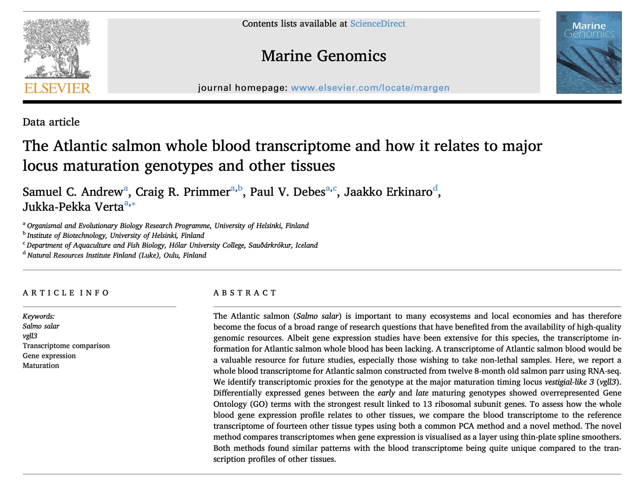 The Atlantic salmon whole blood transcriptome and how it relates to major locus maturation genotypes and other tissues