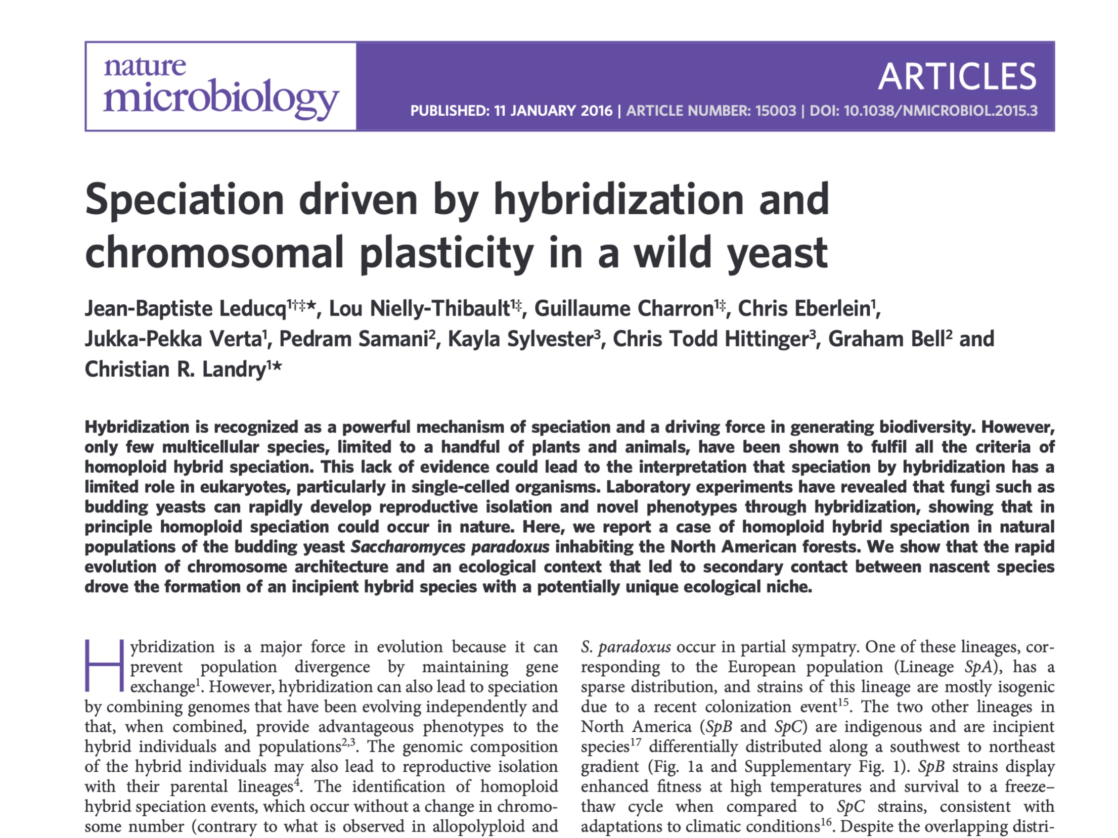 Speciation driven by hybridization and chromosomal plasticity in a wild yeast