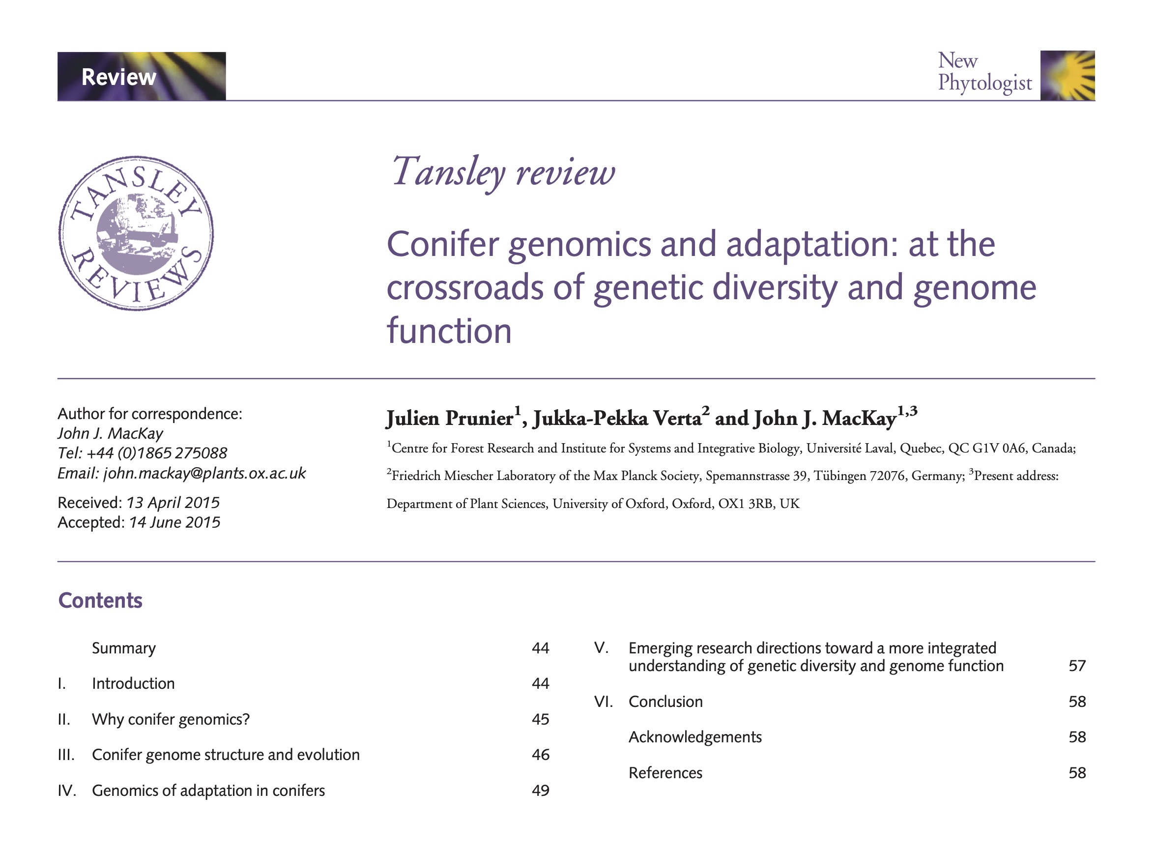 Conifer genomics and adaptation: at the crossroads of genetic diversity and genome function