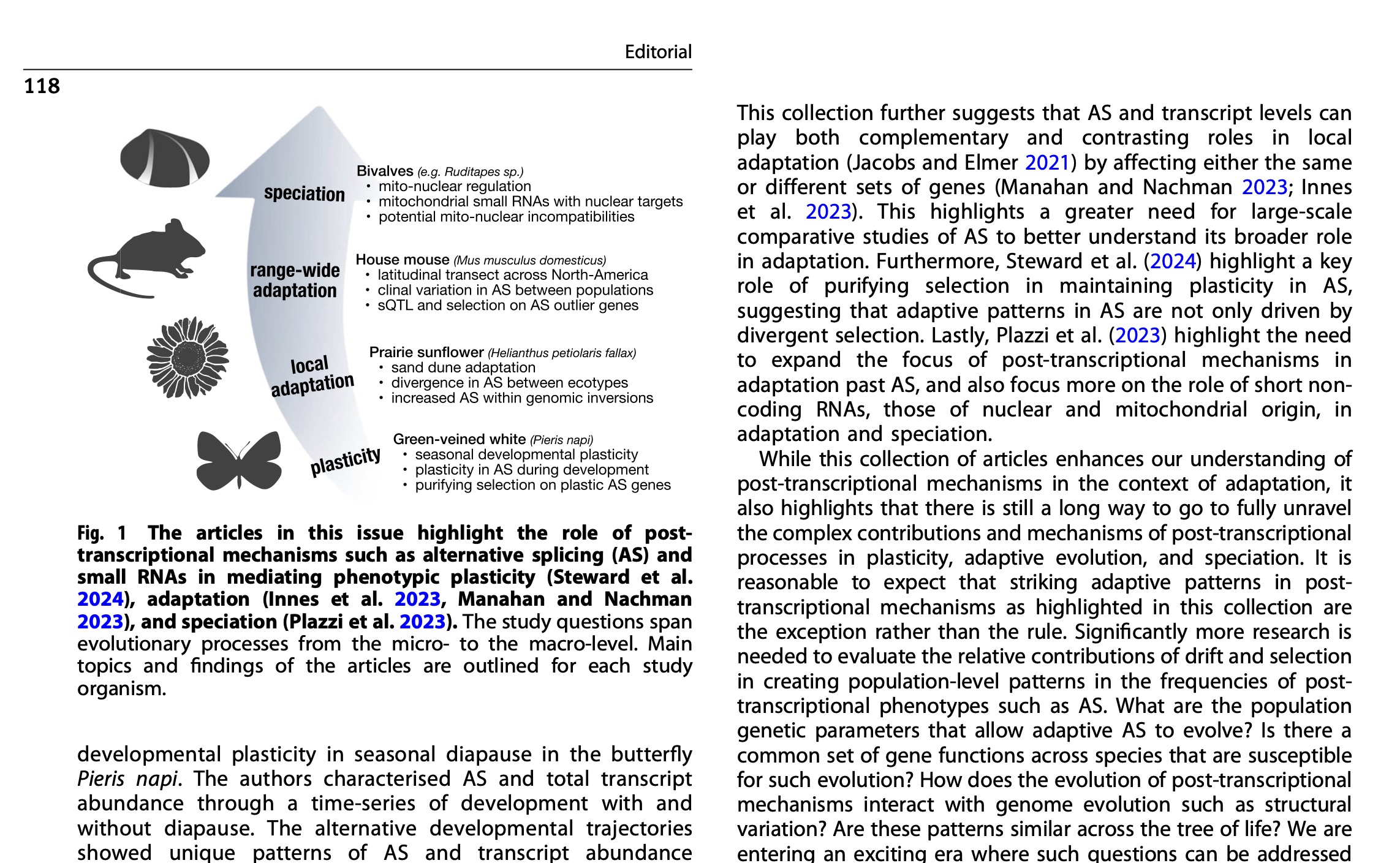 The evolutionary significance of post-transcriptional gene regulation